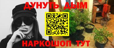 прущие крисы Аша