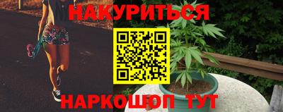 прущие крисы Аша
