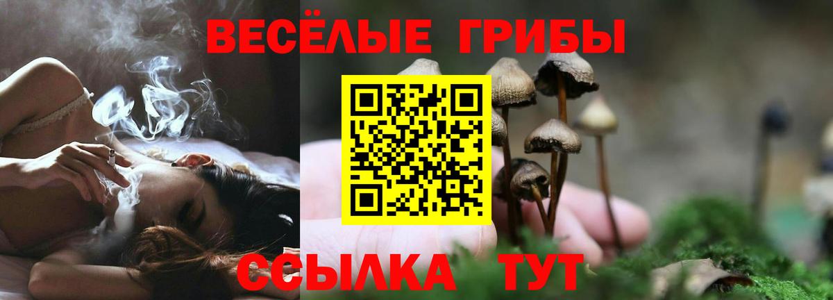 Галлюциногенные грибы GOLDEN TEACHER  Вход с VPN  Каменск-Шахтинский 